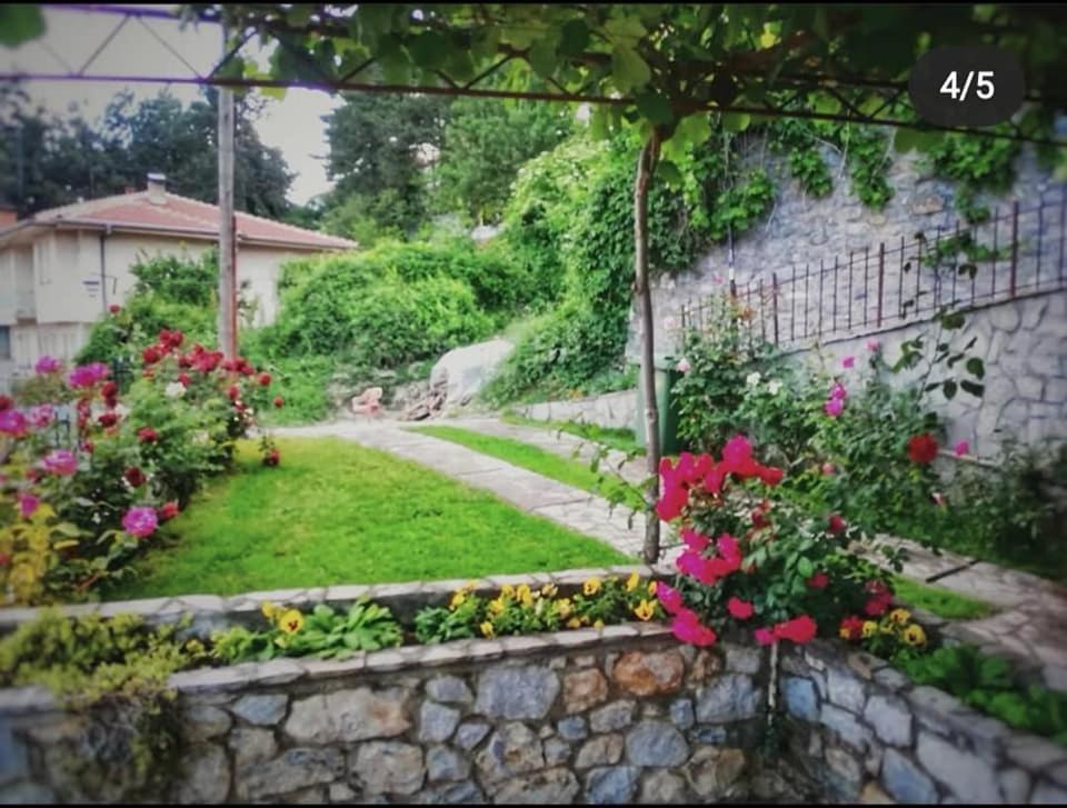 Snegar Apartments Ohrid Exteriör bild