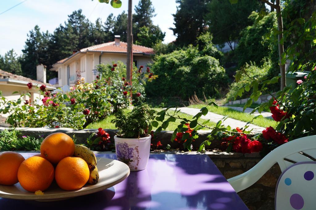Snegar Apartments Ohrid Exteriör bild